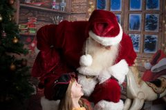 SantaWood-2
